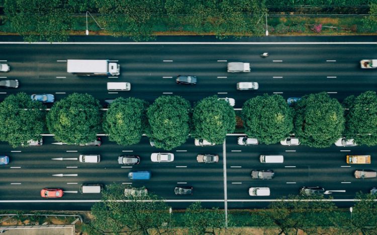 Fleet Decarbonization - Start a plan to reduce your fleet emissions_b - Frotcom.jpg Fleet Decarbonization: Start a plan to reduce your fleet emissions - Frotcom