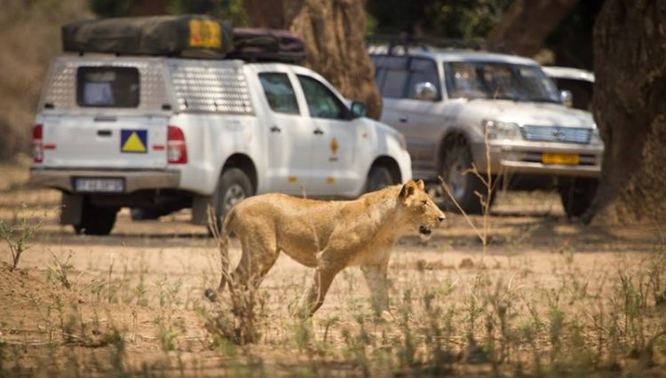 Acacia Car Rentals sees constant improvements since fitting Frotcom