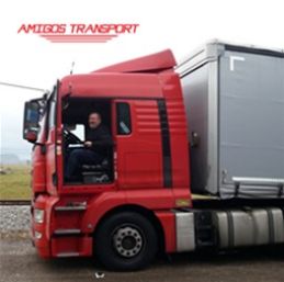 Blog - Amigos Transport is saving 7% in fuel costs with Frotcom Blog - Amigos Transport is saving 7% in fuel costs with Frotcom